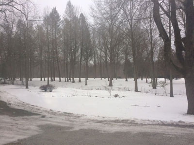 vieew from the studio in winter